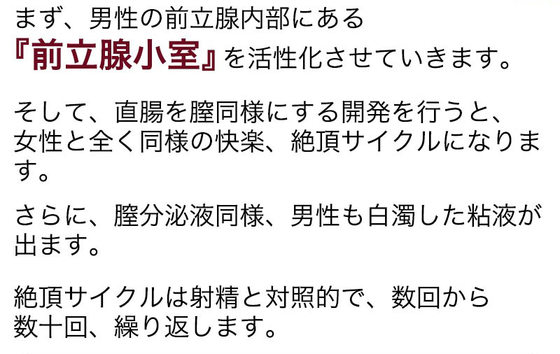 前立腺小室を活性化