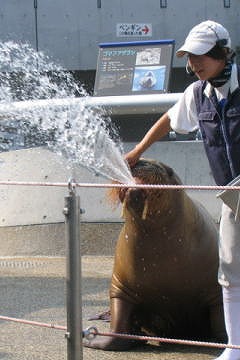風俗 (待ち合わせ 難波（ミナミ）) ただいま 難波店 かおり ビッグデザイア