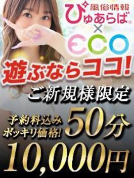 風俗 (ホテヘル 日本橋) エコ日本橋店 えこ ビッグデザイア